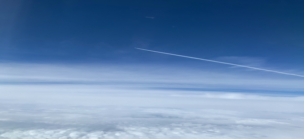 blossom your life by orchestrating your business