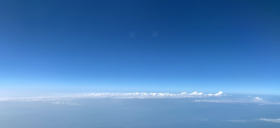 blossom your life by orchestrating your business