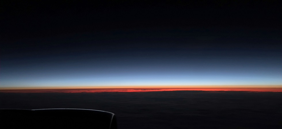 blossom your life by orchestrating your business